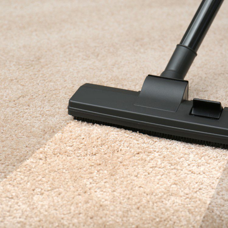 Carpet Cleaning Carpet Cleaning