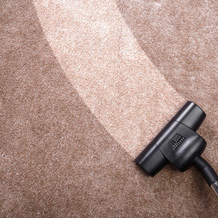 Carpet Cleaning Carpet Cleaning