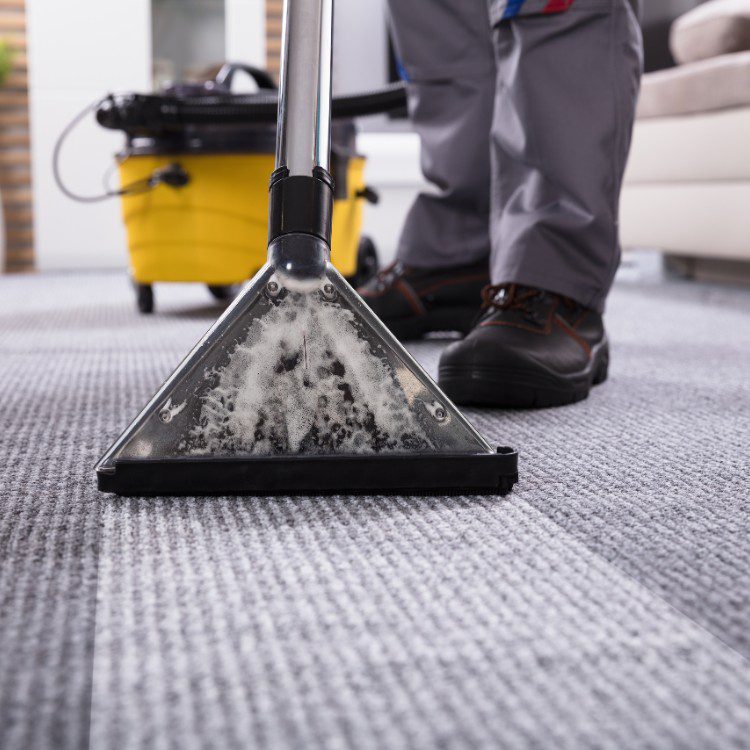 Carpet Cleaning Carpet Cleaning